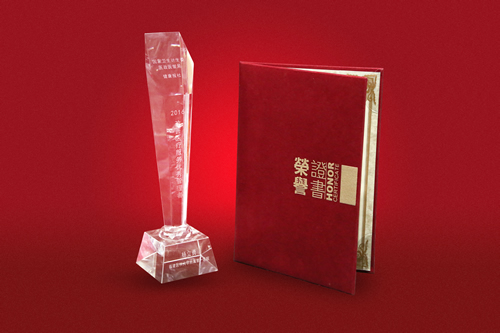 我院院长兼党委书记杨立勇教授荣获2016改善医疗服务优秀管理者称号