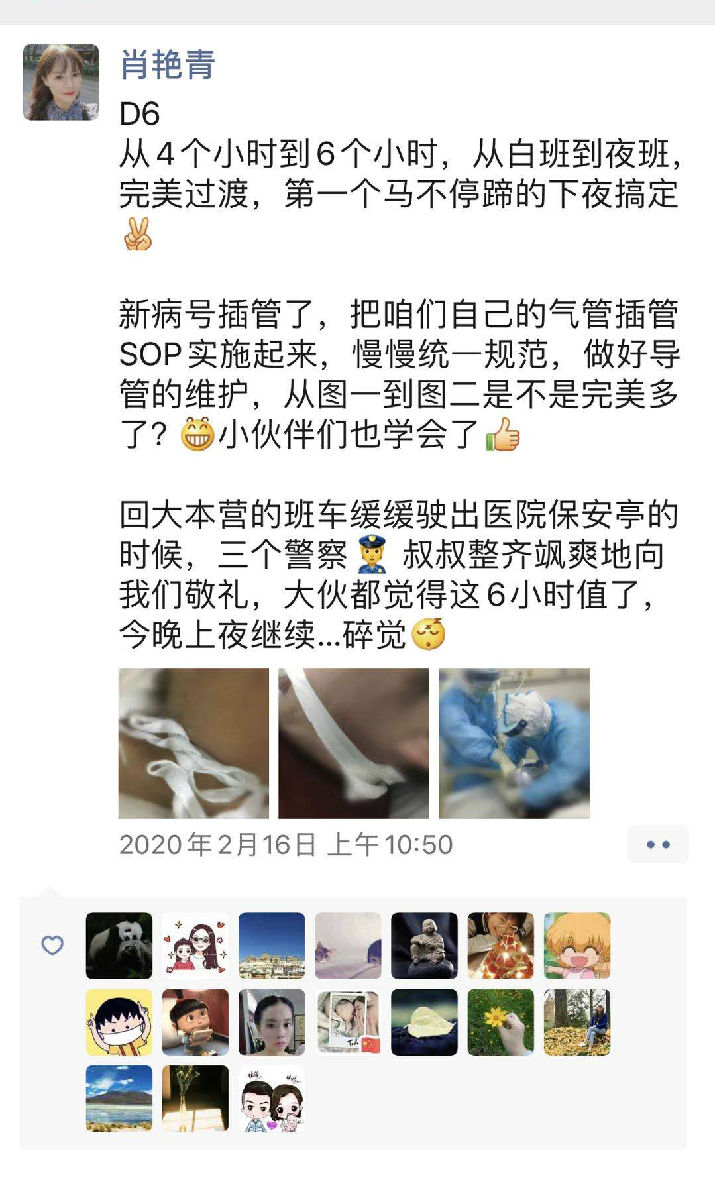 风雨中的玫瑰