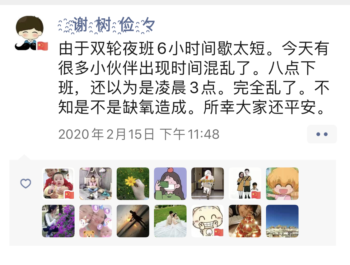 风雨中的玫瑰