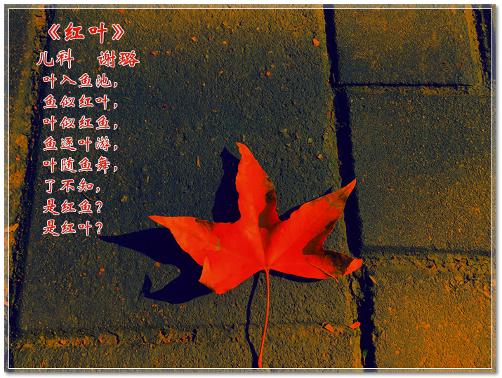 红叶