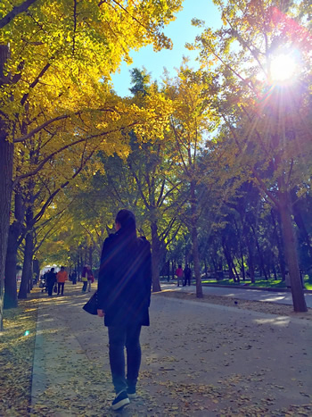 这个秋天我住在“北平” 这个秋天我住在“北平”