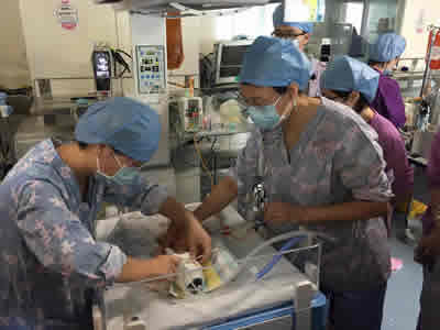 名医指引  新生儿科开启新篇章--北京大学第一医院冯琪教授、复旦大学附属儿科医院王来栓教授莅临我院指导新生儿科临床及科研工作