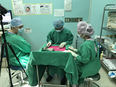 整形外科王美水主任医师在韩国研修获殊荣 整形外科王美水主任医师在韩国研修获殊荣