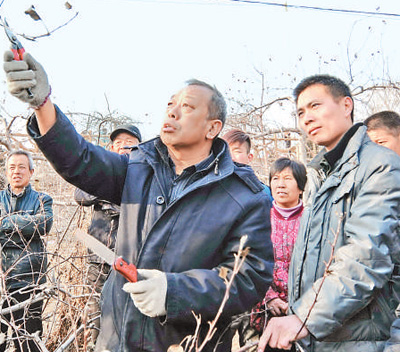 “人民楷模”李保国—— “我愿把知识和能力全部贡献出来”