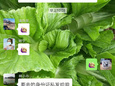 让党旗在防控疫情斗争的第一线高高飘扬